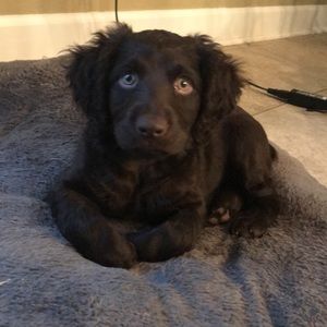 Meet your Posher, Jared